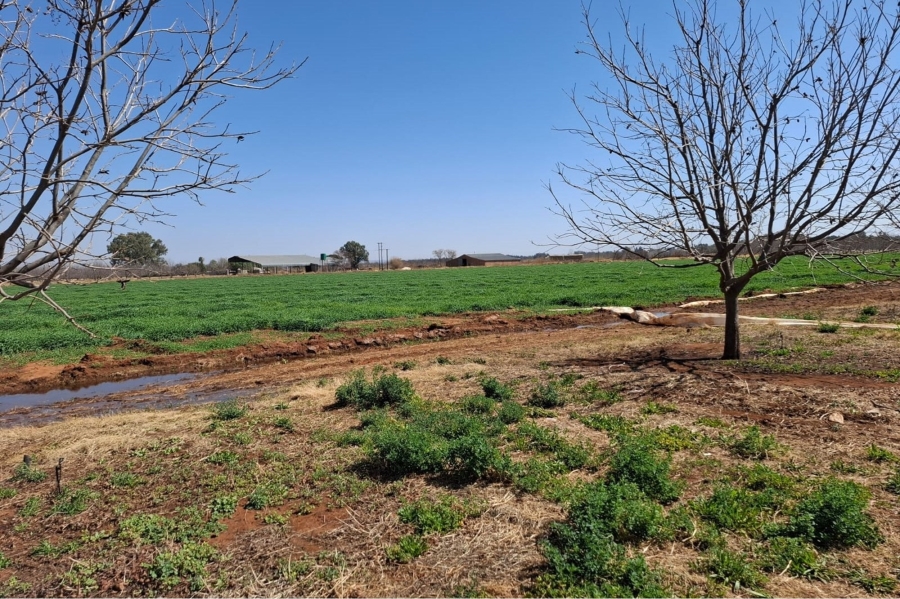 0 Bedroom Property for Sale in Hartswater Northern Cape